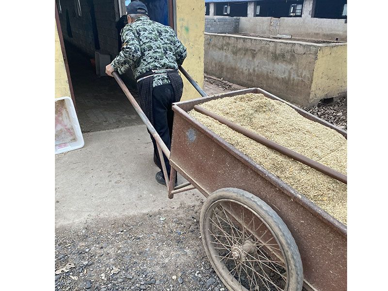 養(yǎng)殖實(shí)景