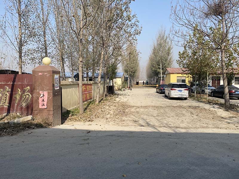 養(yǎng)殖實景