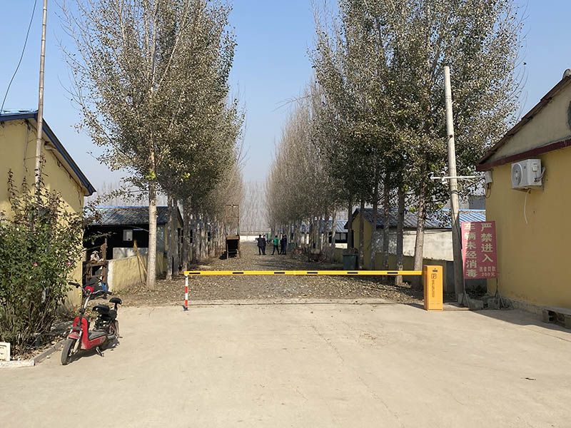 養(yǎng)殖實(shí)景